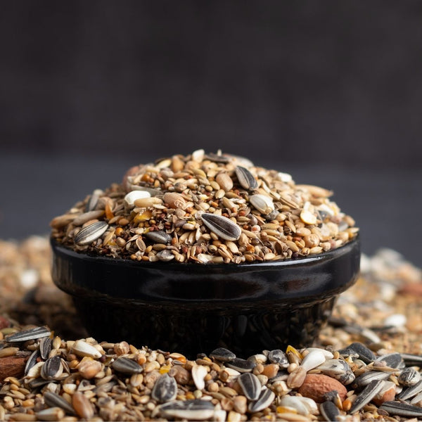 DIY bird seed feeder