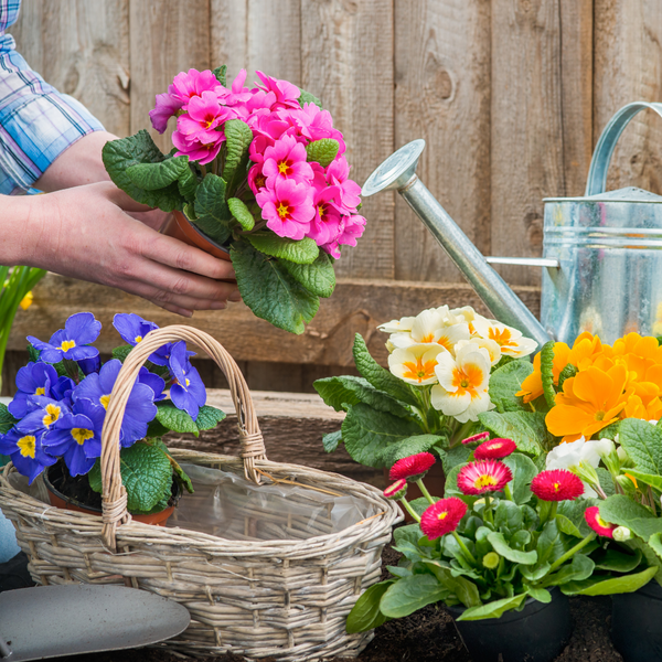 Garden therapy