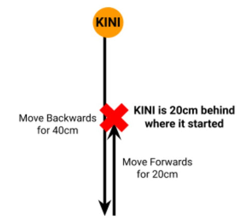 Drawing of Kini's movements; first moving backwards for 40cm, then moving forwards for 20cm. It is shown that Kini ends up 20cm behind where it started.