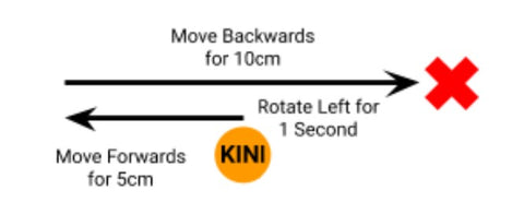 Drawing of Kini rotating left, then moving forwards for 5 cm, then moving backwards for 10 cm.