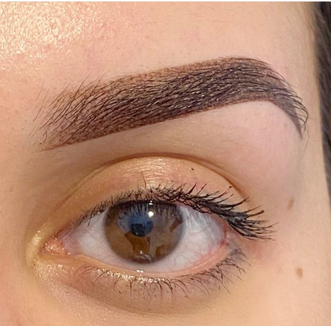 ombre brow course