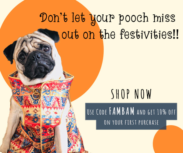 Buy Dresses & | Dog Clothes Online in India | – Dogobow