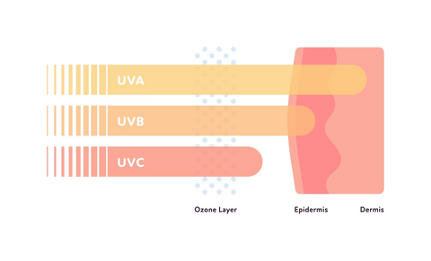 UVA, UVB, and UVC Rays