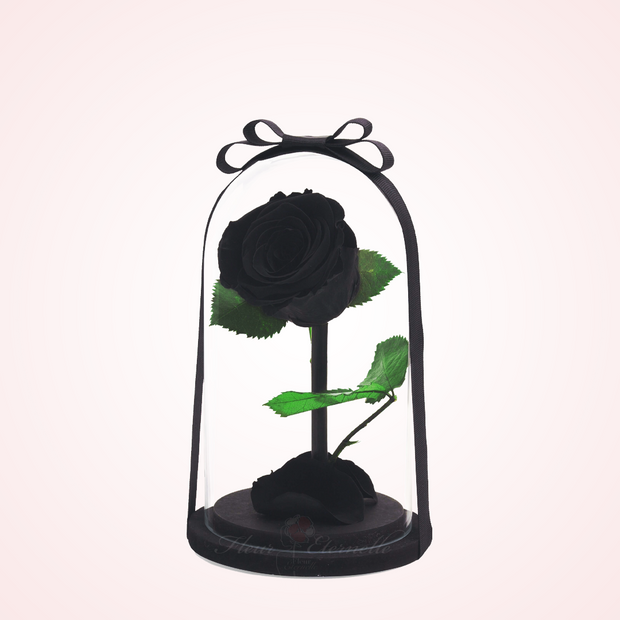 Rosa Eterna Negra – Fleur Eternelle