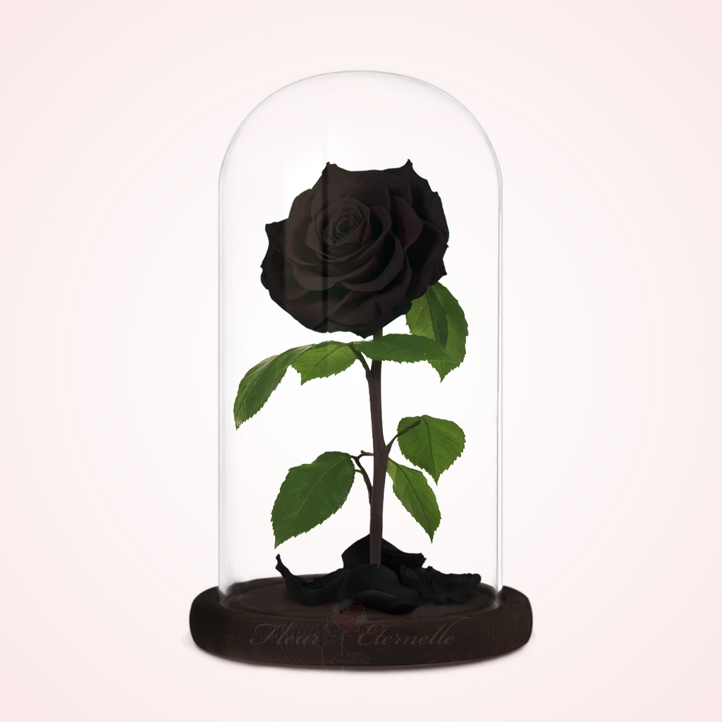 Rosa Preservada Negra – Fleur Eternelle