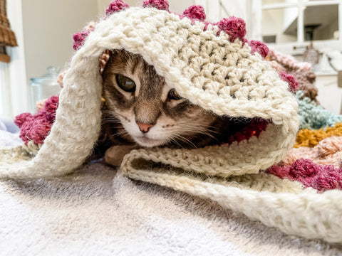 Kaya cat with crocheted blanket