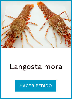 Comprar online langosta mora