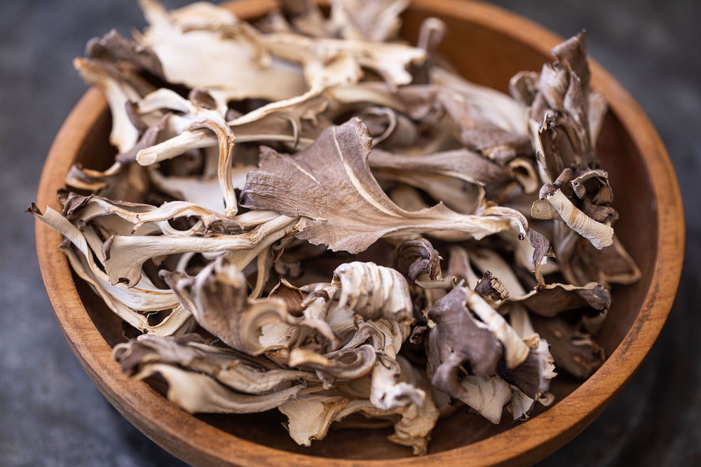 What is Maitake Good for? Maitake Benefits To Know Tamim Teas