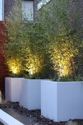 three white aluminium cube garden planters containing tress that are up lit with lights