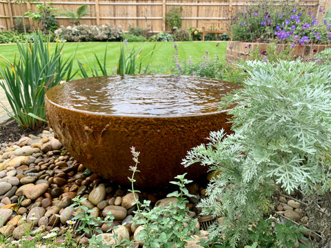 Corten steel water bowl.  It is filled with water and sited in a garden bed.