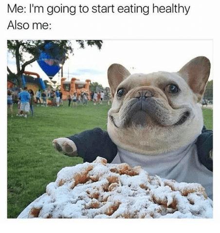 frenchie eats funnel cake