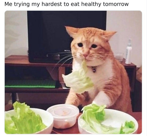 Sad Lettuce Cat