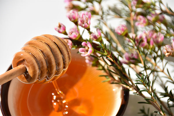 The benefits of Manuka honey, Organic Santarome