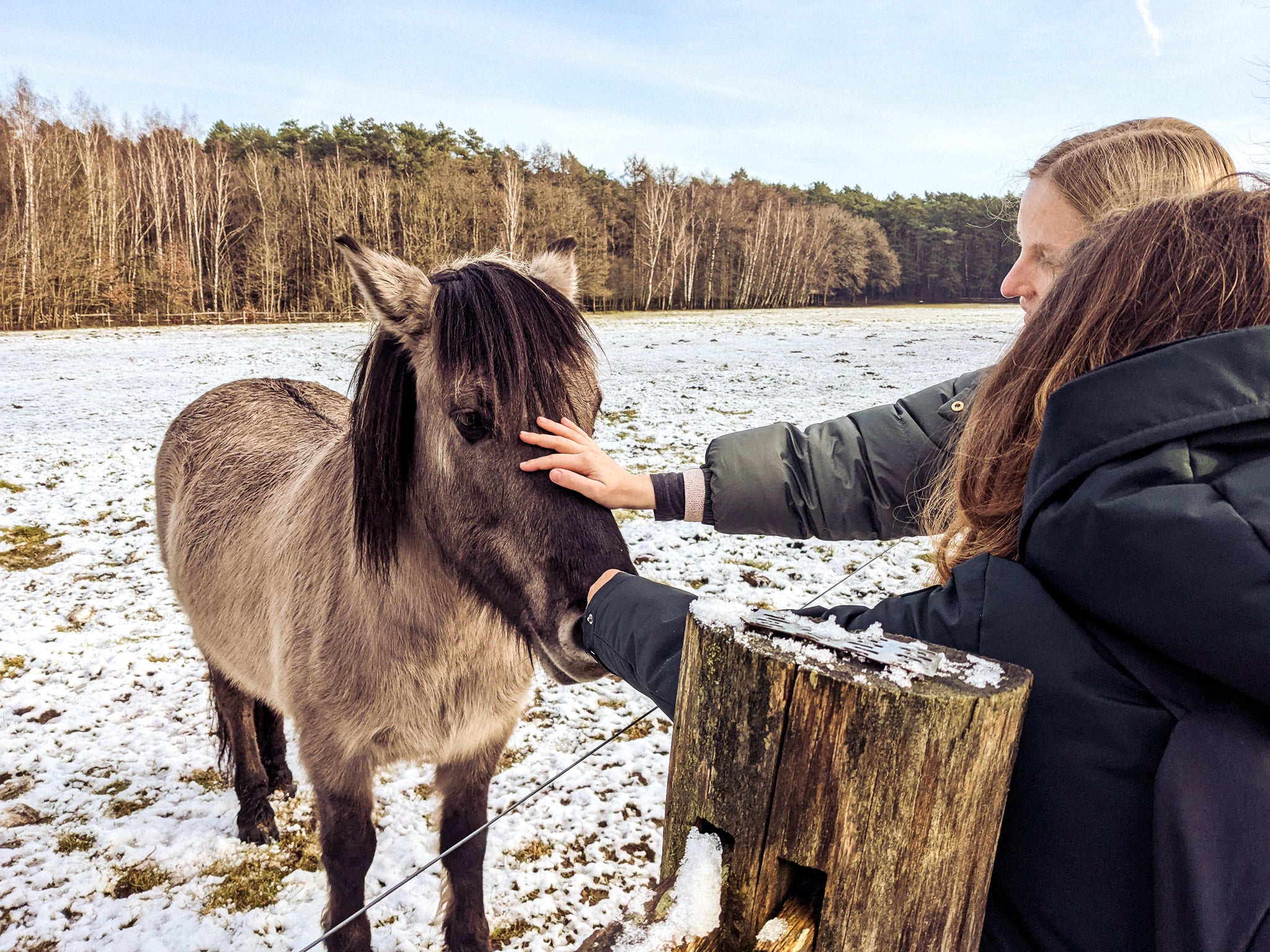 two girls petting horses