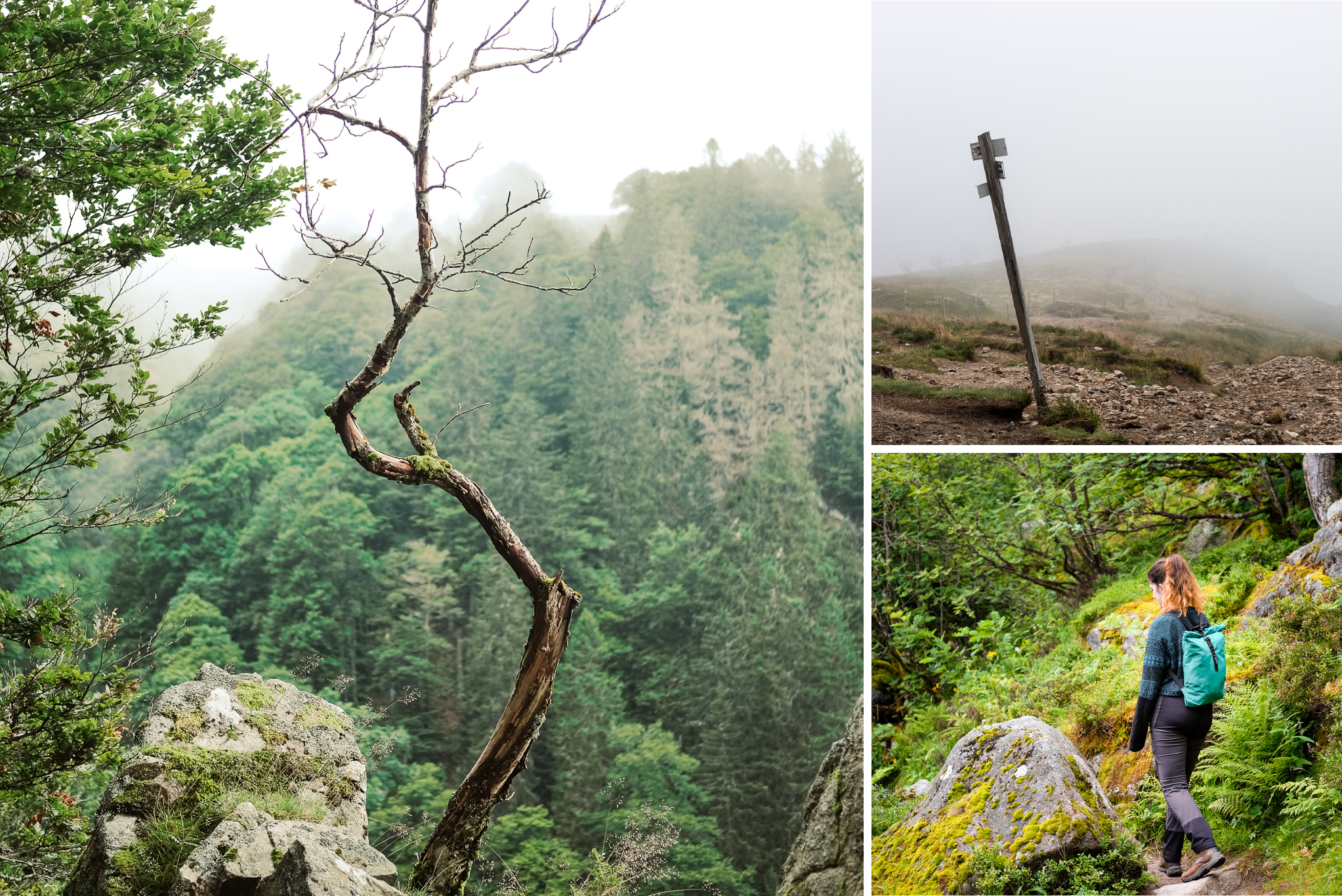 hohneck and sentier des roches