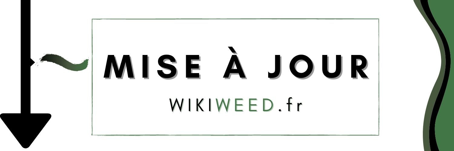 Wikiweed Coin Phase 4