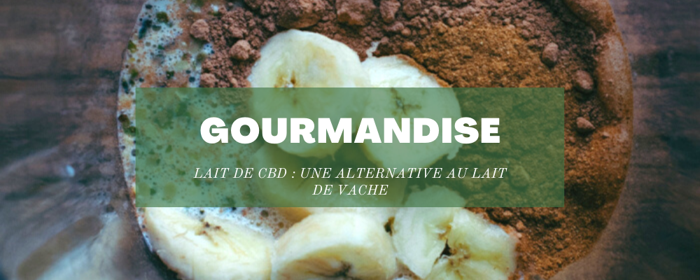 Smoothie au lait de CBD