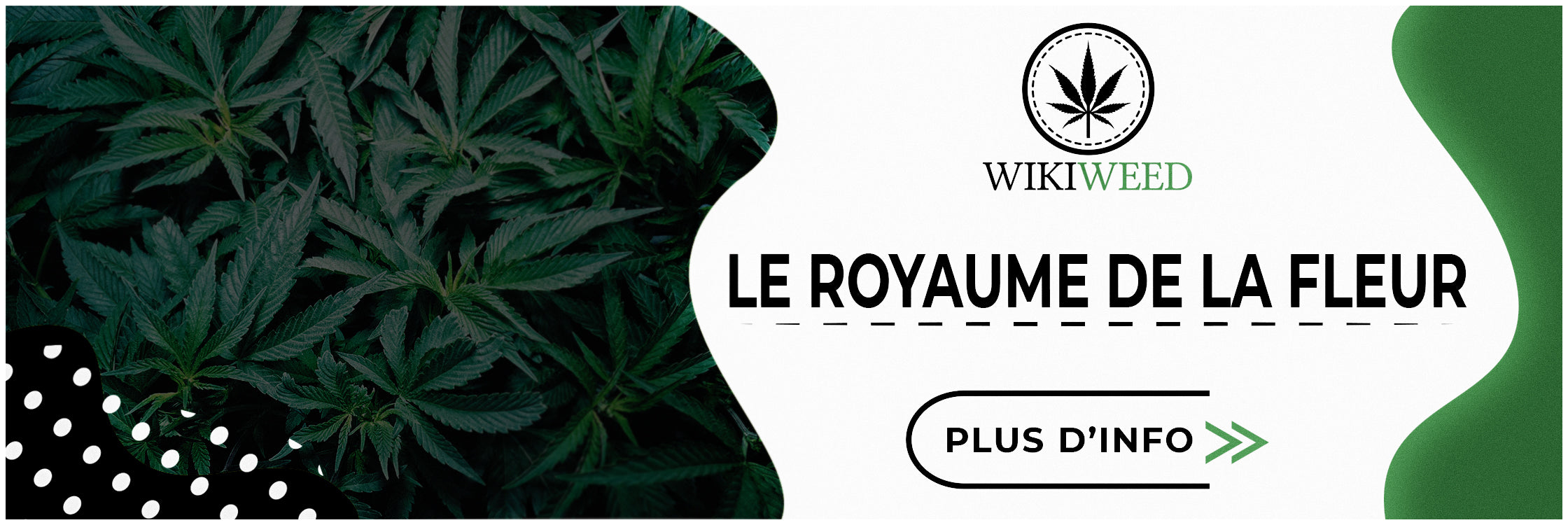 Le Royaume de la Fleur