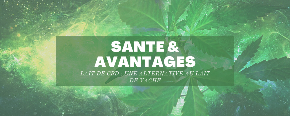 lait de cbd les avantages santé