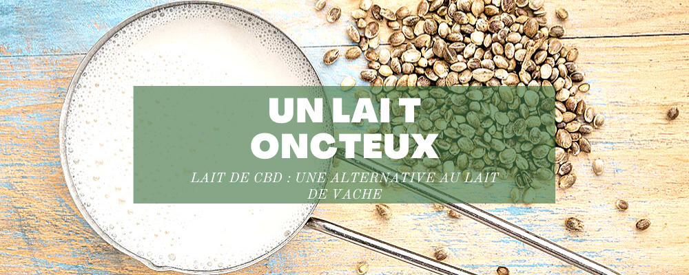 lait de cbd onctueux