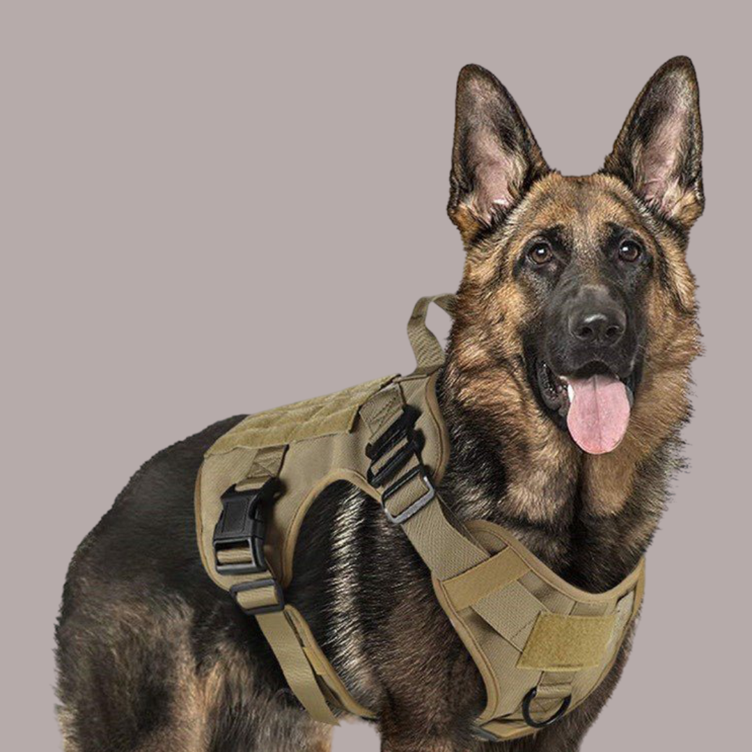 Tactical K9 Harness – LBT