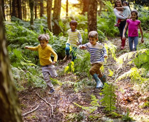 Children playing in the forest