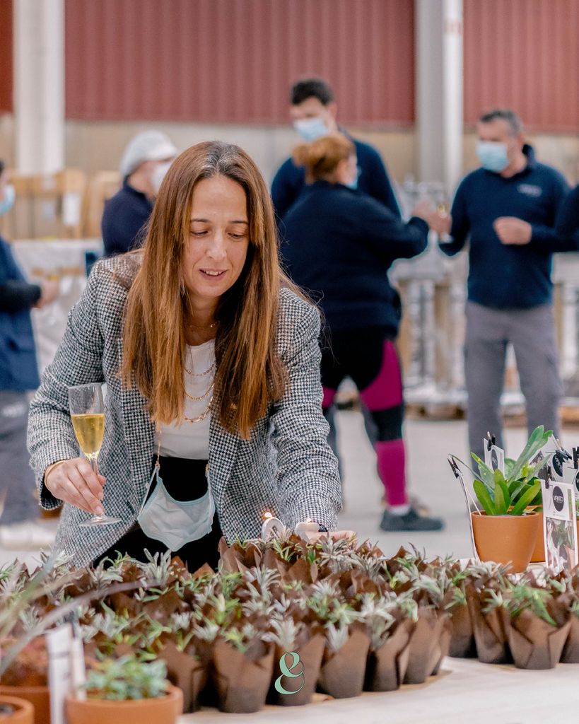 Colaboradores Recebem Plantas como Presente