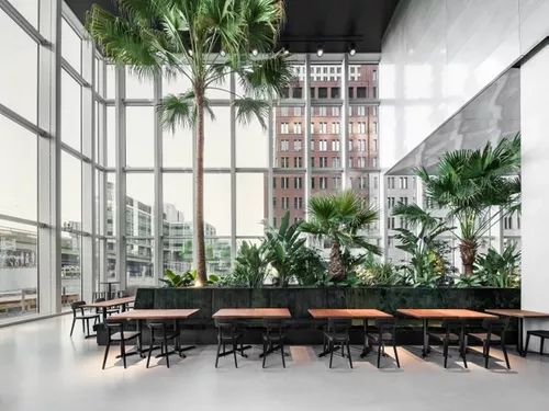 Biophilic Office with Natural Light