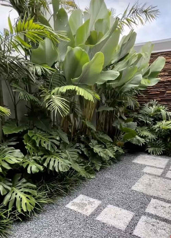 Jardim Estilo Tropical