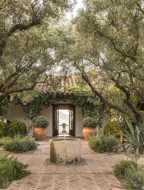 Jardim Estilo Mediterraneo