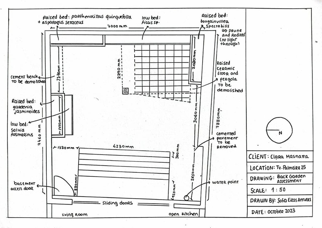 Assessment para execução Jardim Tropical