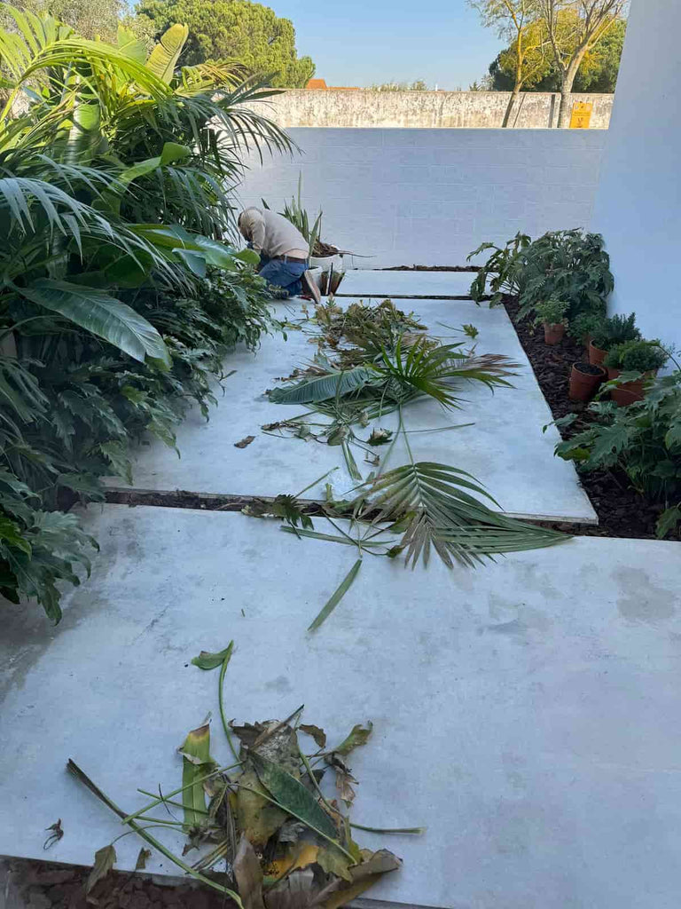 jardim tropical exterior em execução