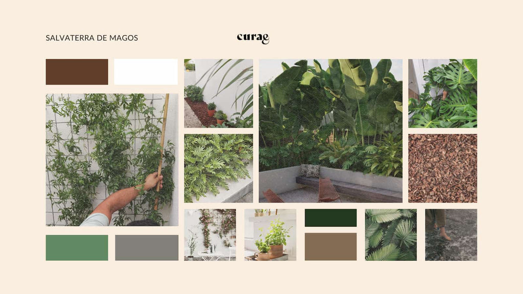 moodboard projeto jardim tropical exterior