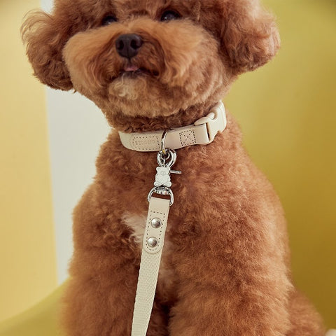 犬 くまさん首輪 名前入り 負担少ない かわいい おしゃれ