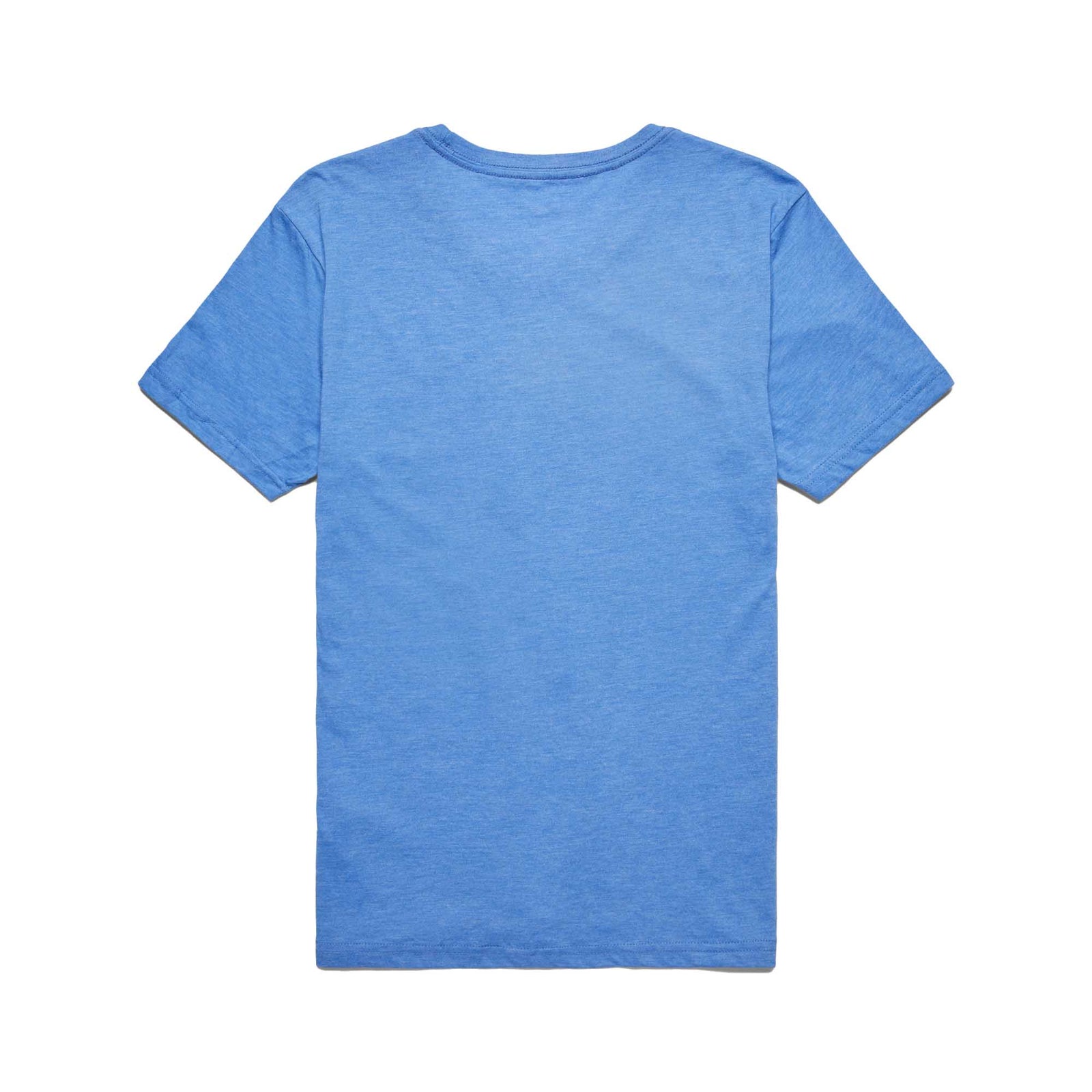 Cotopaxi Men's Altitude Llama Organic T-Shirt 2024 