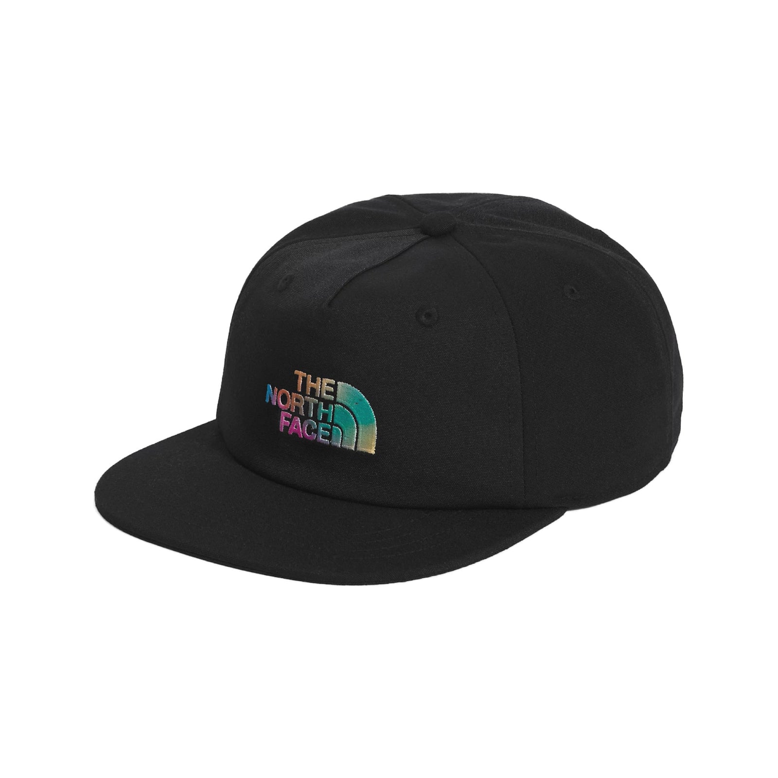 The North Face 5 Panel Recycled 66 Hat 2023 D TNF BLACK/P