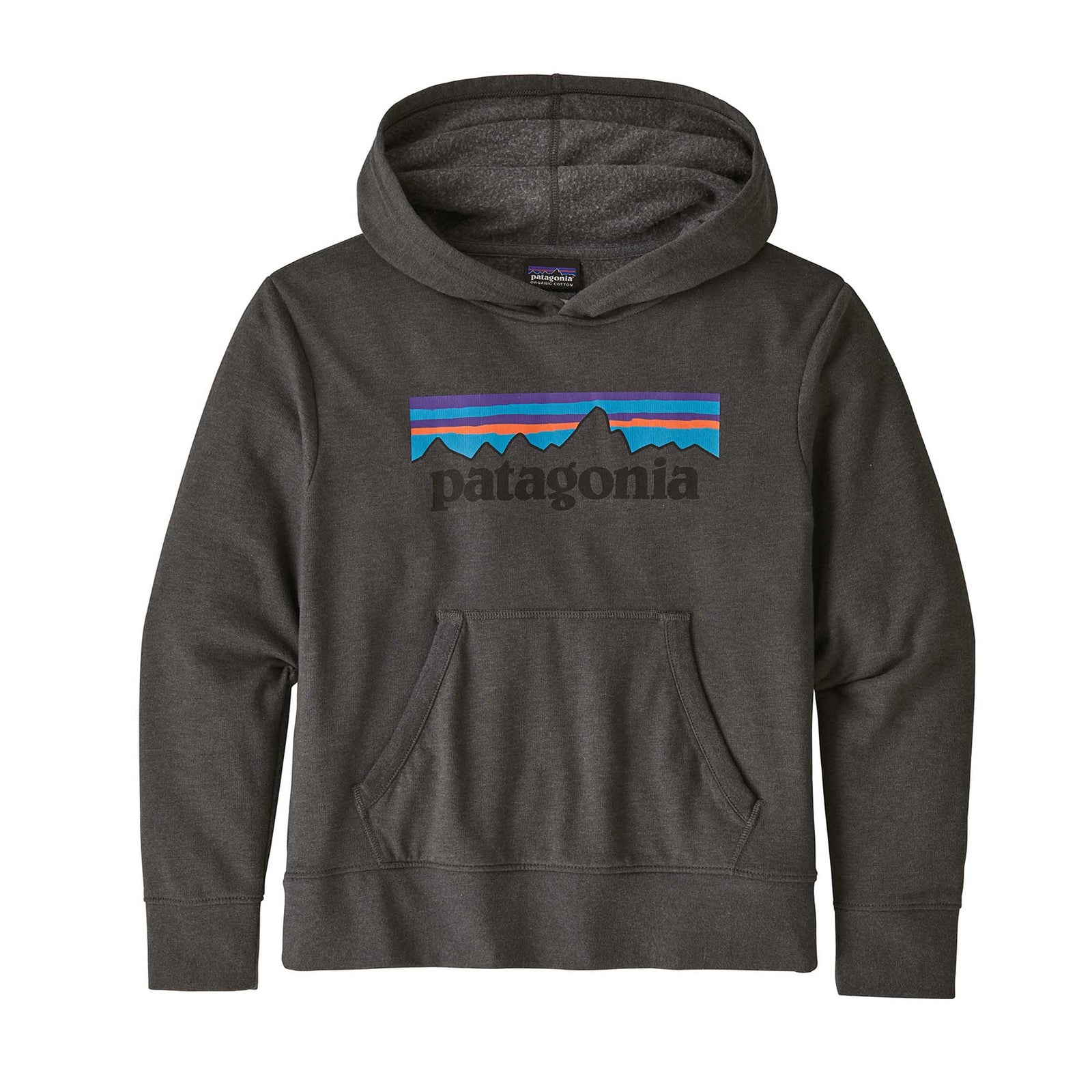 Patagonia Junior's Lightweight Graphic Hoody Sweatshirt 2024 P-6 LOGO: FORGE GREY