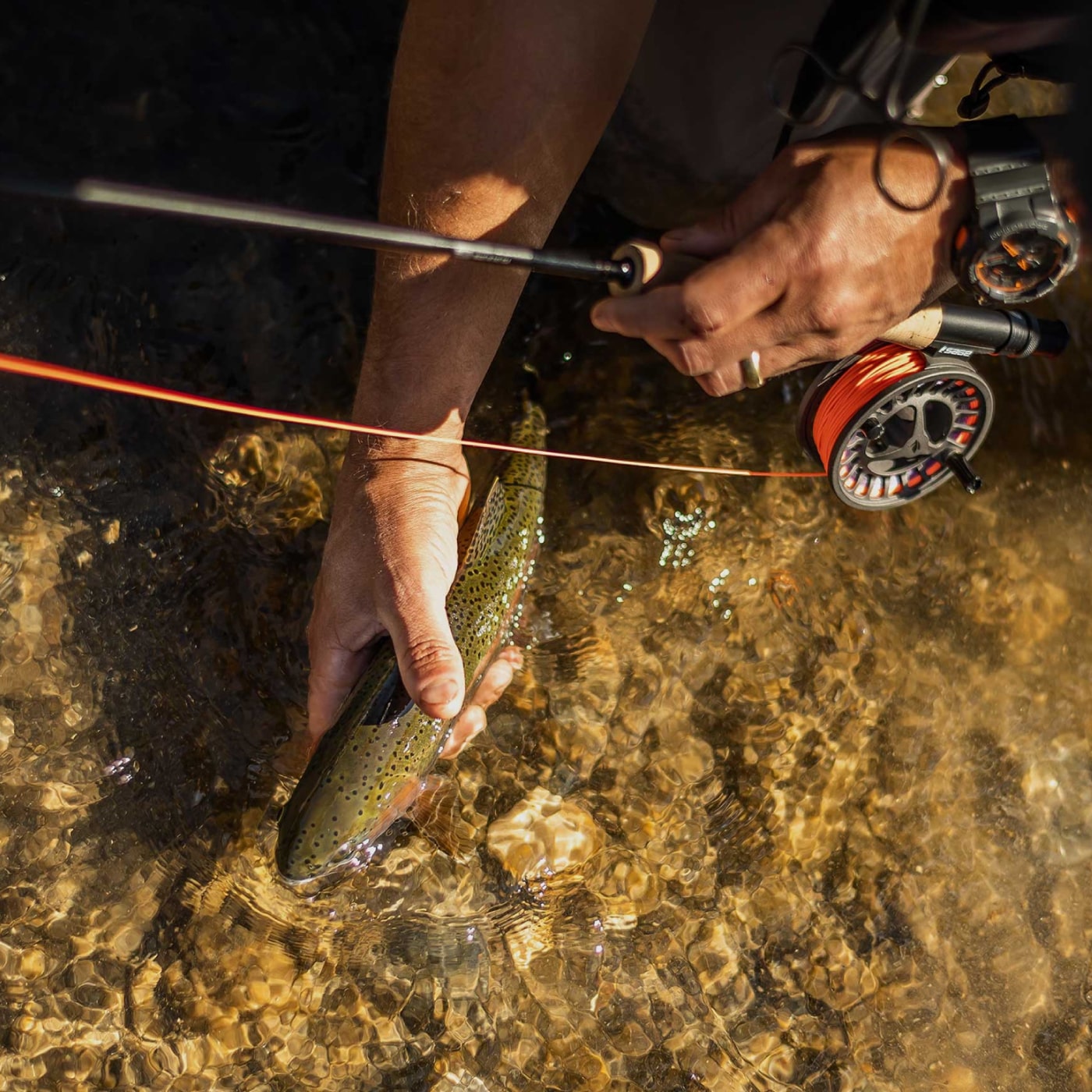 Sage Foundation Fly Fishing Rod · Boyne Country Sports