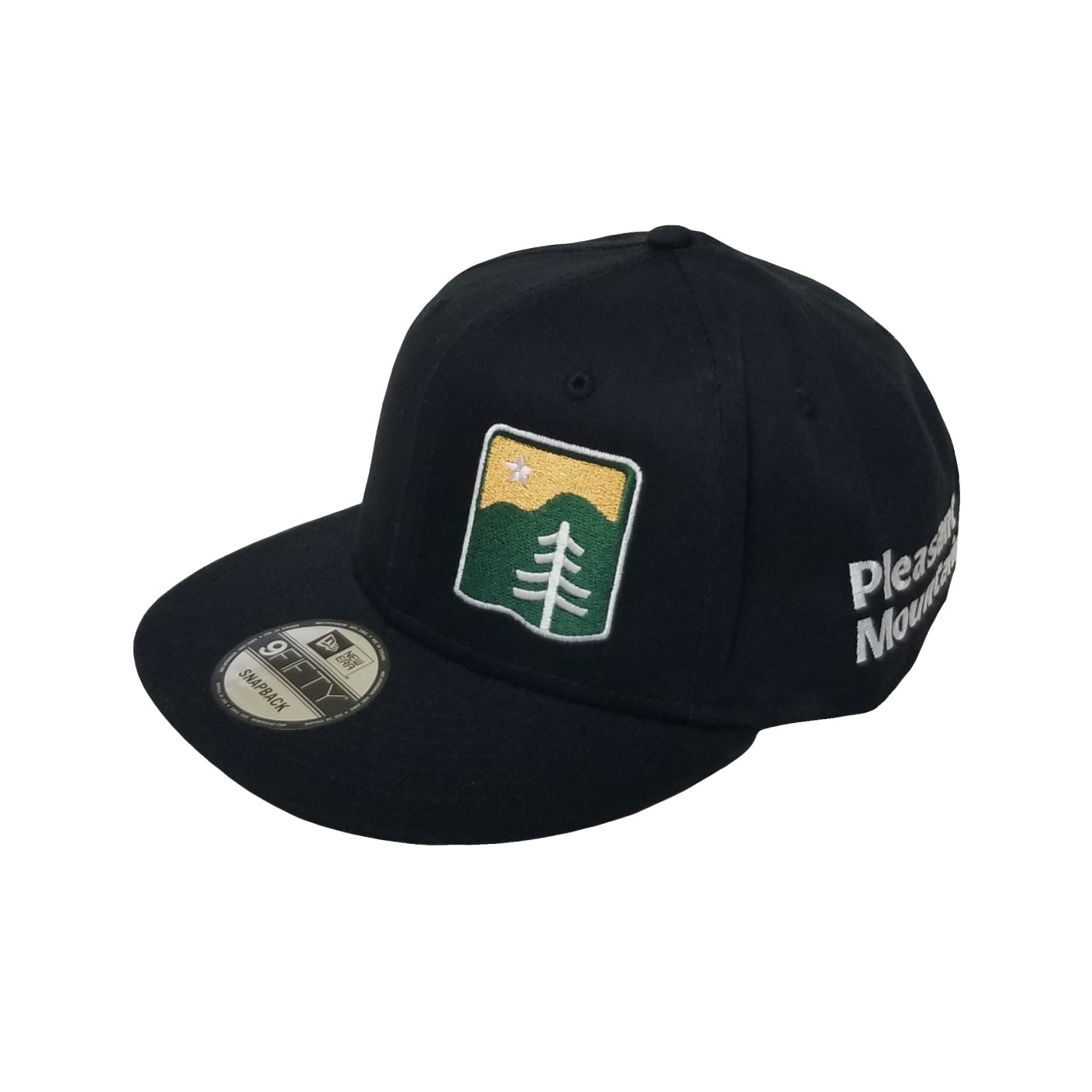 Pleasant Mountain New Era Offset/Side 2 Logo FC Cap GREY