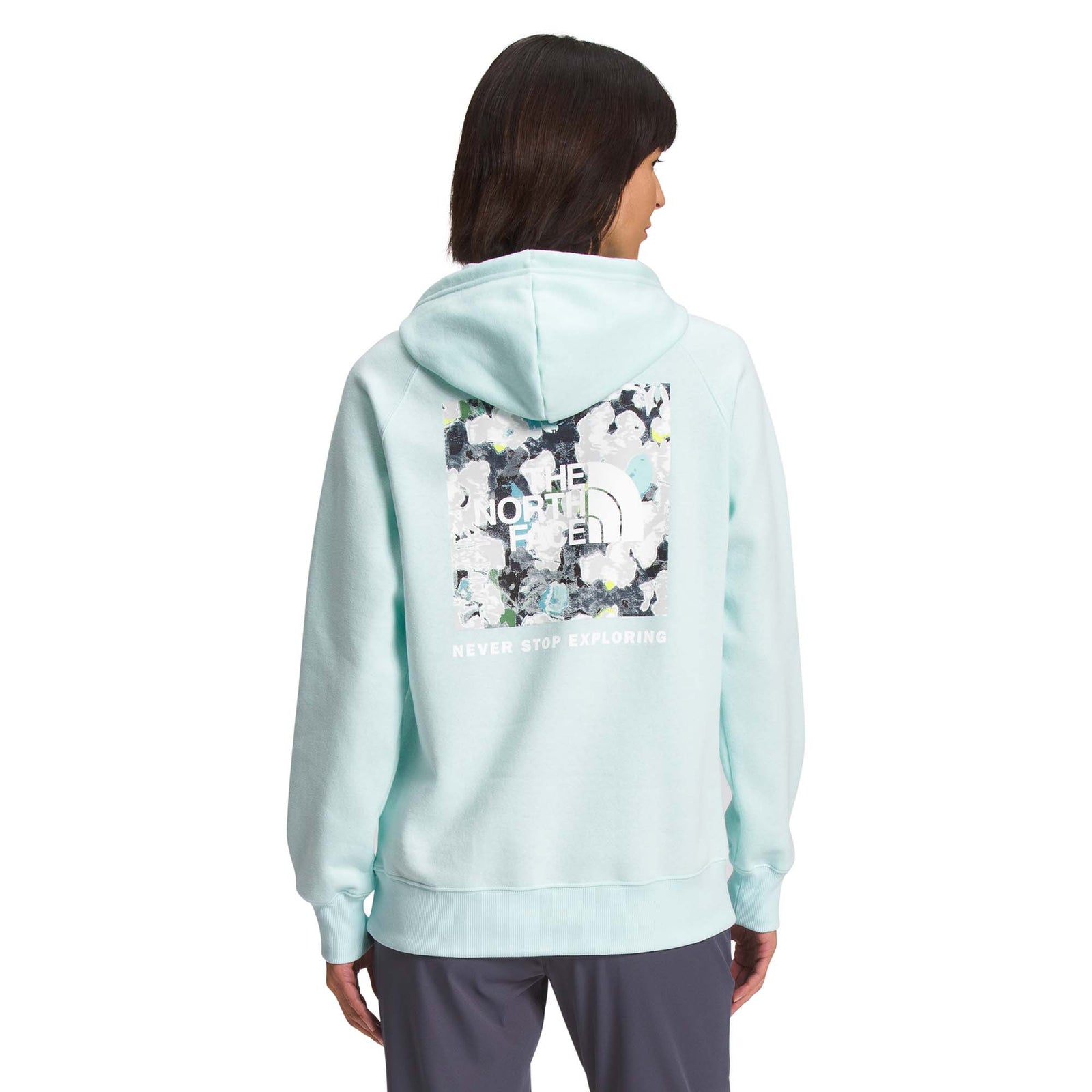 North Face Women's Box NSE Pullover Hoodie 2023 