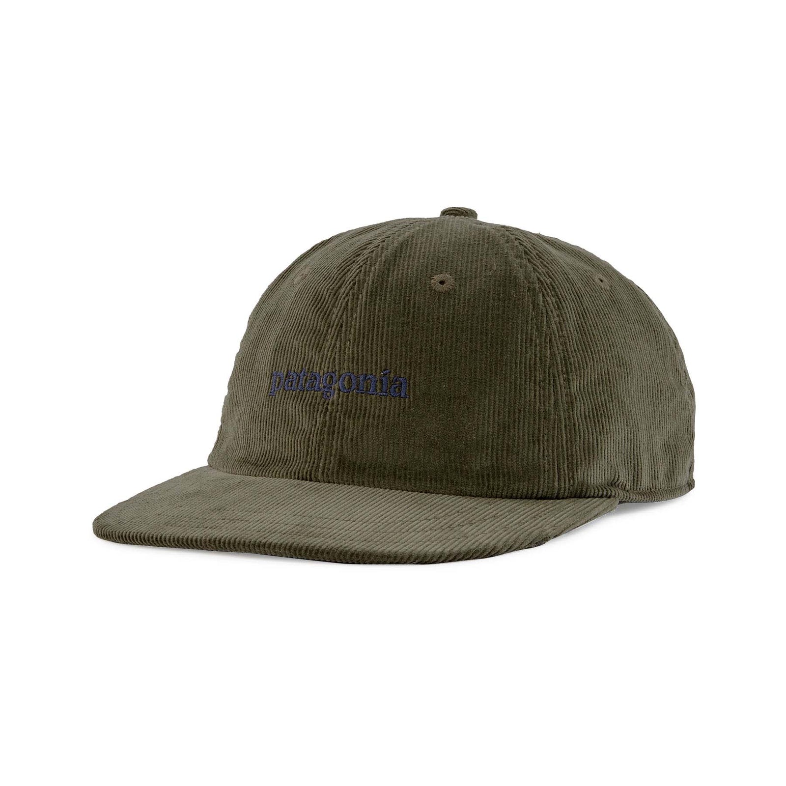 Patagonia Corduroy Cap 2023 TEBG TEXT LOGO