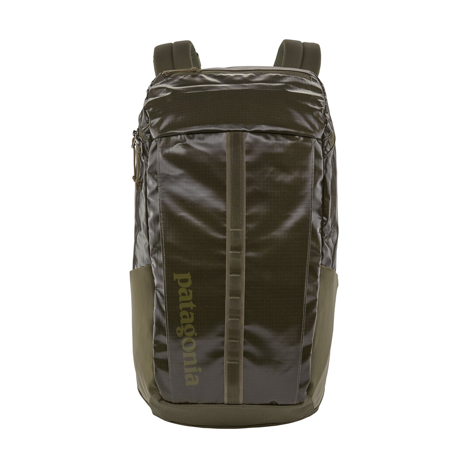 Patagonia Black Hole Pack 25L 2023 BSNG BASIN GREE