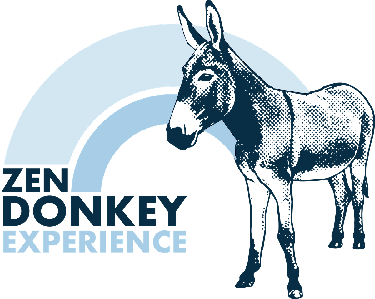 Zen Donkey Experience