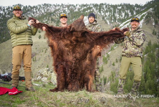 11 Spring Bear Hunting Tips - Muley Freak