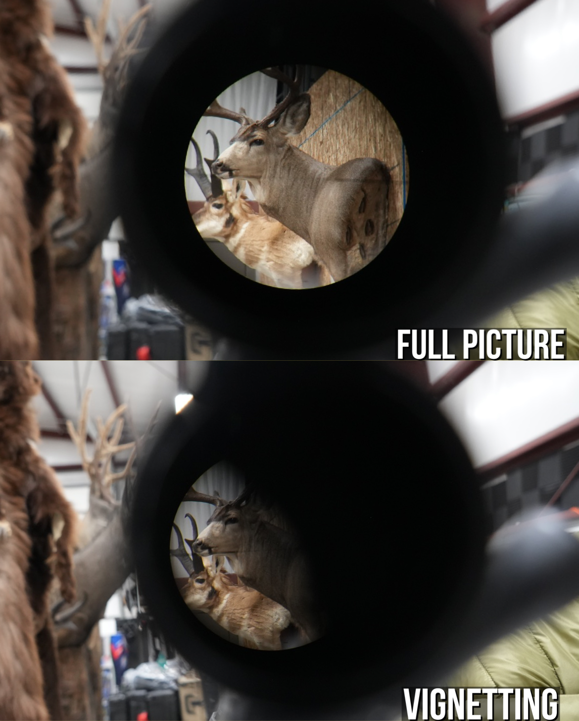 getting a full sight picture in your rifle scope