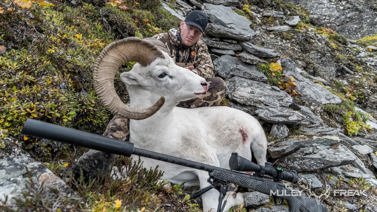 alaskan dall sheep shot with proof research rifle