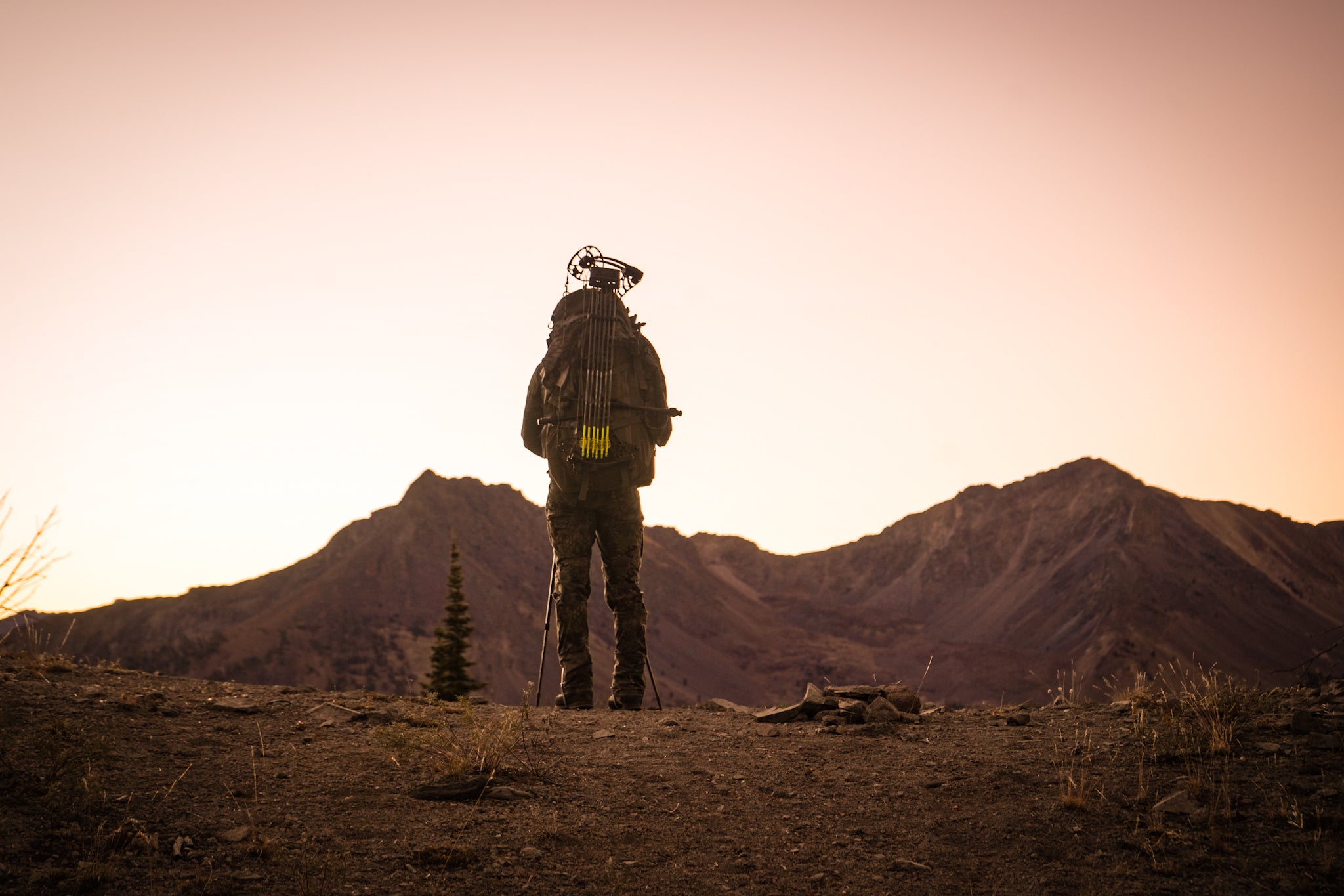 mule deer hunting the backcountry