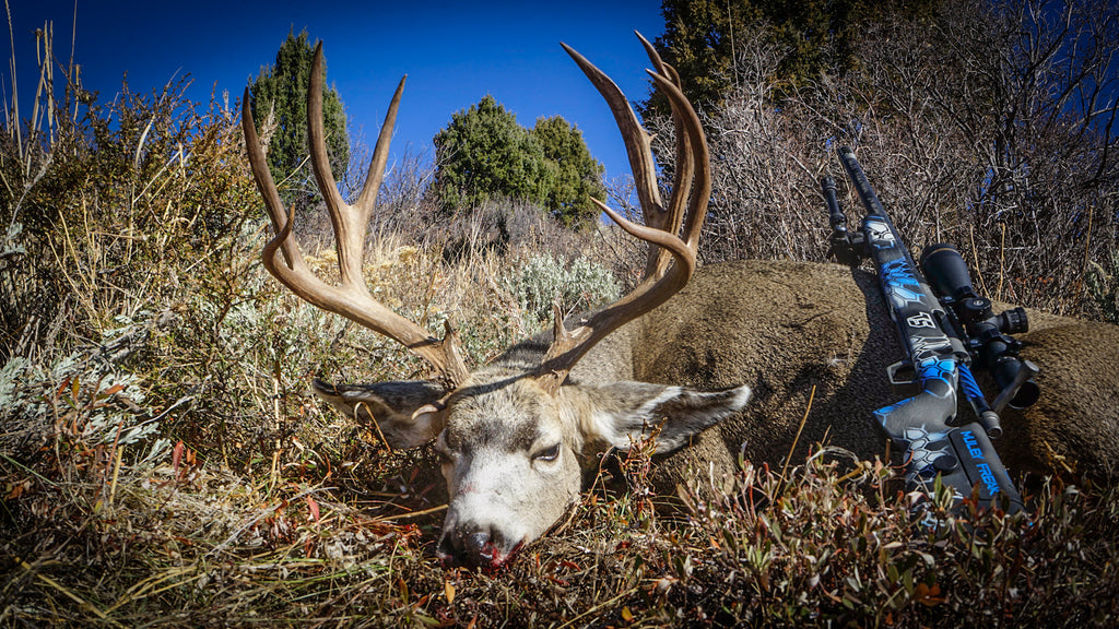 rifle deer hunting tips