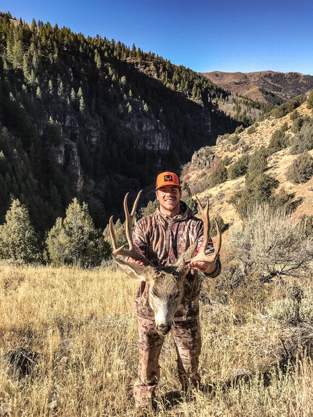 utah rifle mule deer