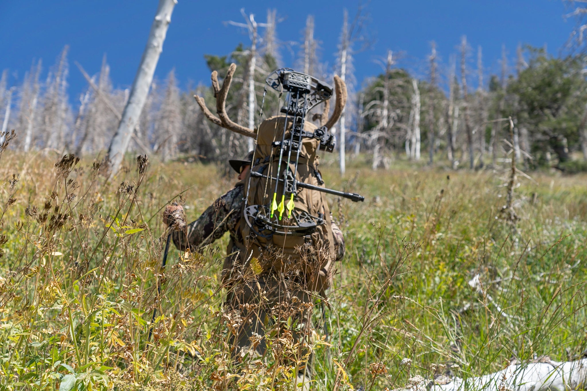 tips and tricks for archery hunting mule deer